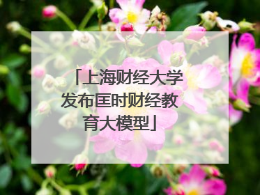 上海财经大学发布匡时财经教育大模型