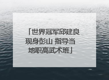 世界冠军邱建良现身彭山 指导当地职高武术班