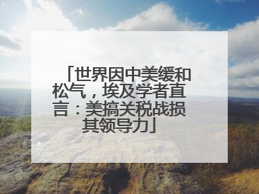 世界因中美缓和松气，埃及学者直言：美搞关税战损其领导力