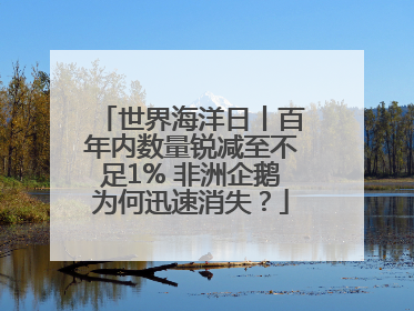 世界海洋日丨百年内数量锐减至不足1% 非洲企鹅为何迅速消失？