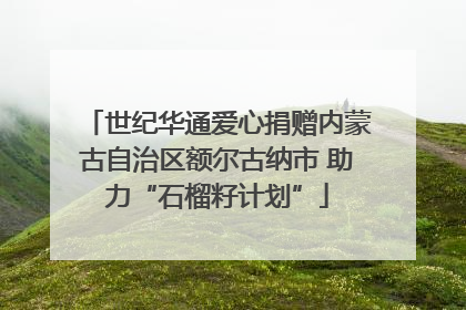 世纪华通爱心捐赠内蒙古自治区额尔古纳市 助力“石榴籽计划”
