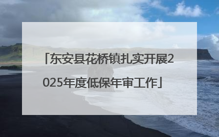 东安县花桥镇扎实开展2025年度低保年审工作