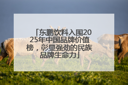 东鹏饮料入围2025年中国品牌价值榜，彰显强劲的民族品牌生命力