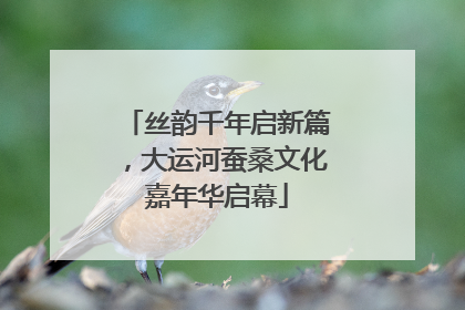 丝韵千年启新篇，大运河蚕桑文化嘉年华启幕