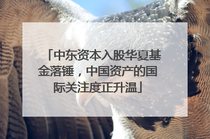 中东资本入股华夏基金落锤，中国资产的国际关注度正升温