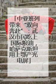 中亚班列带来“双向奔赴”：武汉市民吃上国际粮油，哈萨克斯坦用上鄂产光电屏