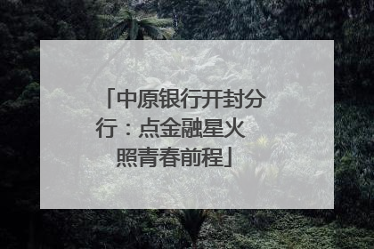 中原银行开封分行：点金融星火 照青春前程