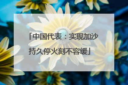 中国代表：实现加沙持久停火刻不容缓