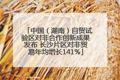 中国（湖南）自贸试验区对非合作创新成果发布 长沙片区对非贸易年均增长141%