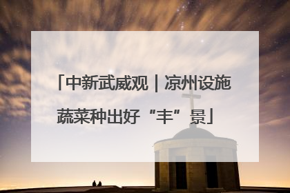 中新武威观｜凉州设施蔬菜种出好“丰”景