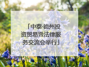 中泰·德州投资贸易暨法律服务交流会举行