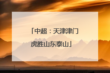 中超：天津津门虎胜山东泰山