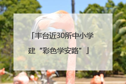 丰台近30所中小学建“彩色学安路”