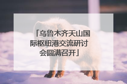 乌鲁木齐天山国际枢纽港交流研讨会圆满召开