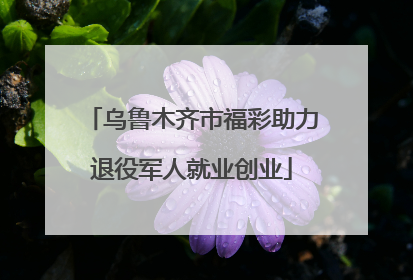 乌鲁木齐市福彩助力退役军人就业创业