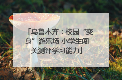 乌鲁木齐：校园“变身”游乐场 小学生闯关测评学习能力