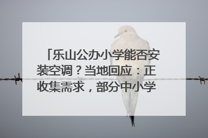 乐山公办小学能否安装空调？当地回应：正收集需求，部分中小学已启动安装｜云求助