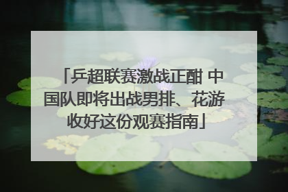 乒超联赛激战正酣 中国队即将出战男排、花游 收好这份观赛指南