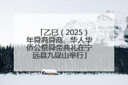 乙巳（2025）年舜裔舜商、华人华侨公祭舜帝典礼在宁远县九嶷山举行