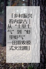 乡村振兴看内蒙古｜从“土里土气”到“虾里虾气” 一田双收模式火出圈