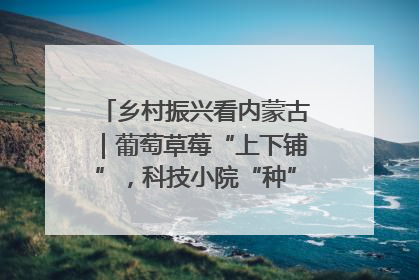 乡村振兴看内蒙古｜葡萄草莓“上下铺”，科技小院“种”出三倍效益