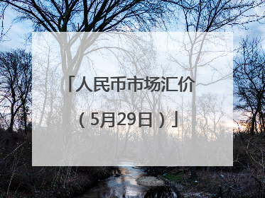 人民币市场汇价（5月29日）