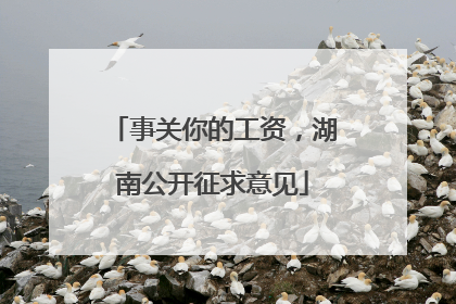 事关你的工资，湖南公开征求意见