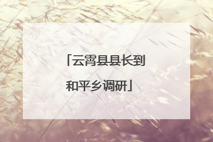 云霄县县长到和平乡调研