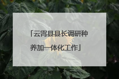 云霄县县长调研种养加一体化工作