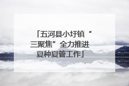 五河县小圩镇“三聚焦”全力推进夏种夏管工作