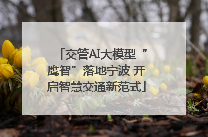 交管AI大模型“鹰智”落地宁波 开启智慧交通新范式