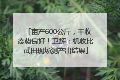 亩产600公斤，丰收态势良好！卫辉：机收比武田现场测产出结果