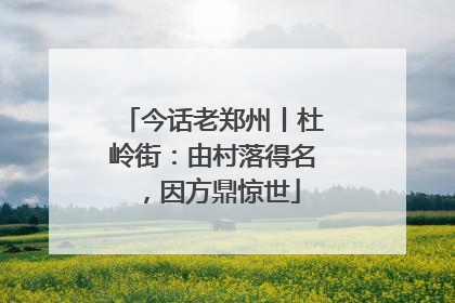 今话老郑州丨杜岭街：由村落得名，因方鼎惊世