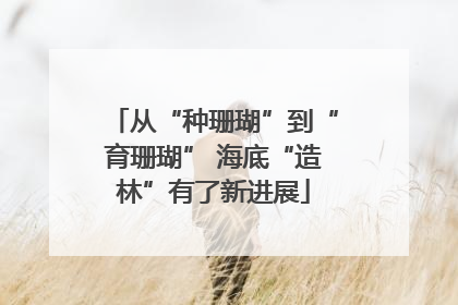 从“种珊瑚”到“育珊瑚” 海底“造林”有了新进展