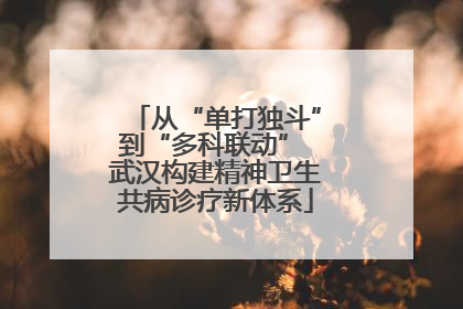 从“单打独斗”到“多科联动” 武汉构建精神卫生共病诊疗新体系