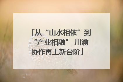 从“山水相依”到“产业相融” 川渝协作再上新台阶