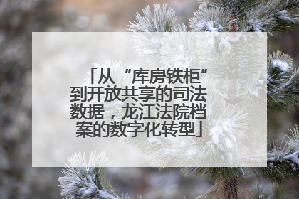 从“库房铁柜”到开放共享的司法数据，龙江法院档案的数字化转型
