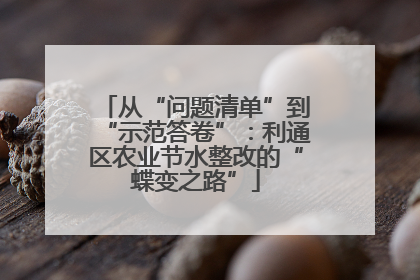 从“问题清单”到“示范答卷”：利通区农业节水整改的“蝶变之路”