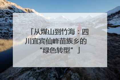 从煤山到竹海：四川宜宾仙峰苗族乡的“绿色转型”