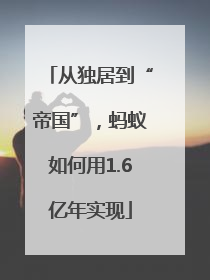 从独居到“帝国”，蚂蚁如何用1.6亿年实现