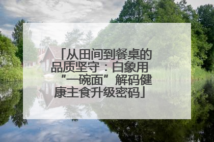 从田间到餐桌的品质坚守：白象用“一碗面”解码健康主食升级密码