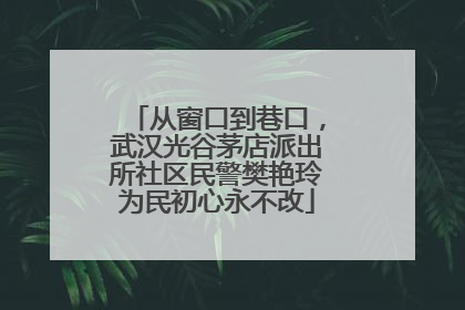 从窗口到巷口，武汉光谷茅店派出所社区民警樊艳玲为民初心永不改