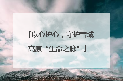 以心护心，守护雪域高原“生命之脉”