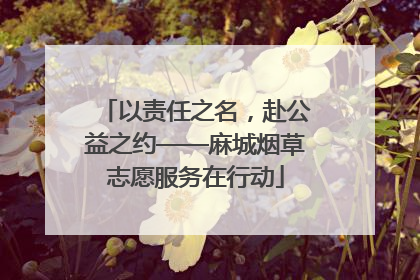 以责任之名，赴公益之约——麻城烟草志愿服务在行动