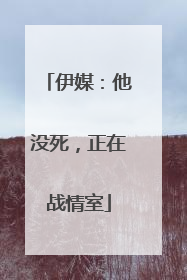 伊媒：他没死，正在战情室