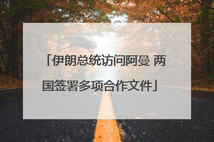 伊朗总统访问阿曼 两国签署多项合作文件