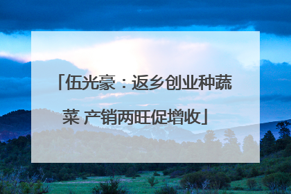 伍光豪：返乡创业种蔬菜 产销两旺促增收