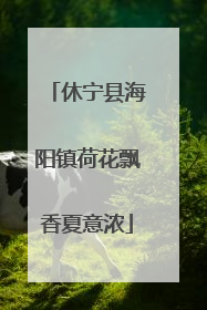 休宁县海阳镇荷花飘香夏意浓
