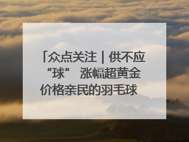 众点关注｜供不应“球” 涨幅超黄金 价格亲民的羽毛球为何身价飞涨？
