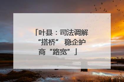 叶县：司法调解“搭桥” 稳企护商“路宽”
